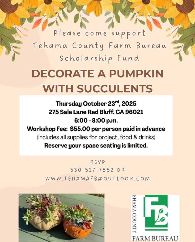 Screenshot 2025-09-30 at 4.46.41 PM