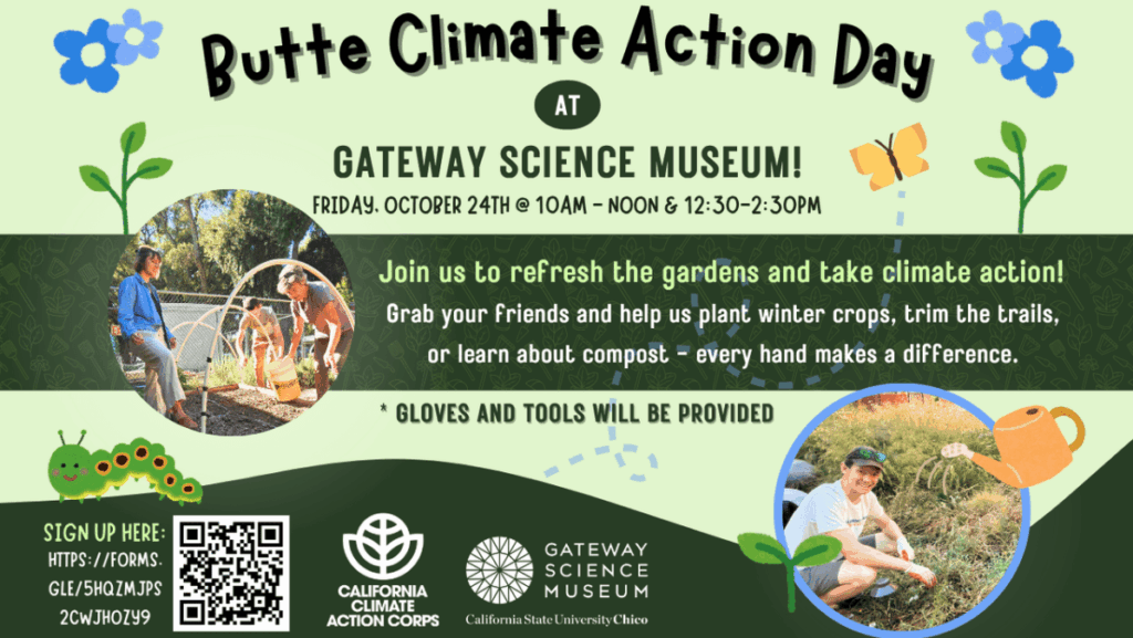 Screenshot 2025-10-19 at 5.57.58 AM