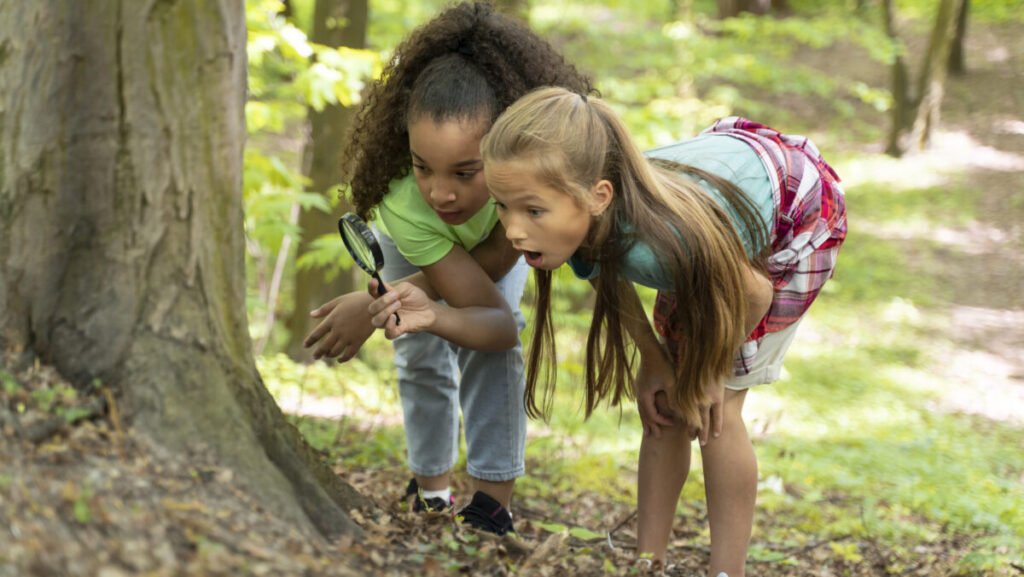 nature walk kids