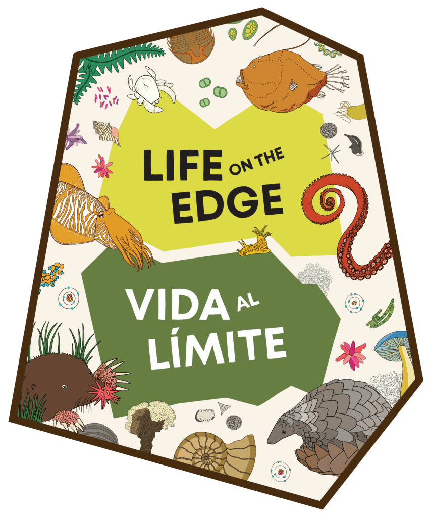 LOE Graphic Panel Logo