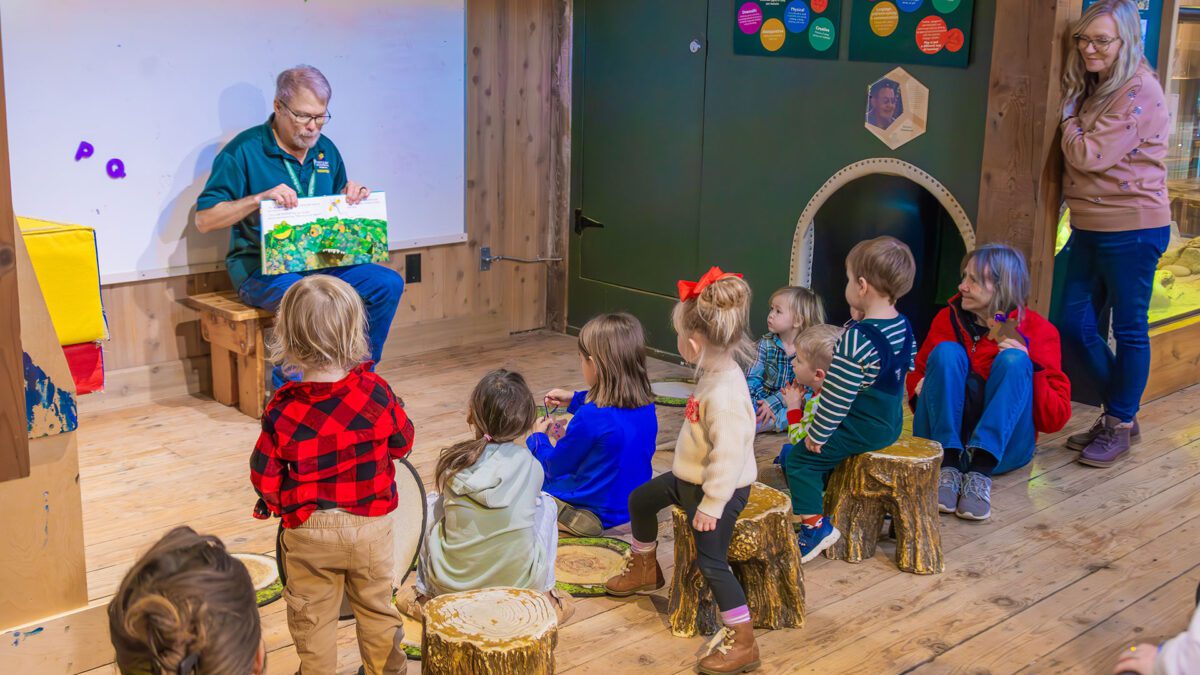 Little Explorers: Amazing Animals