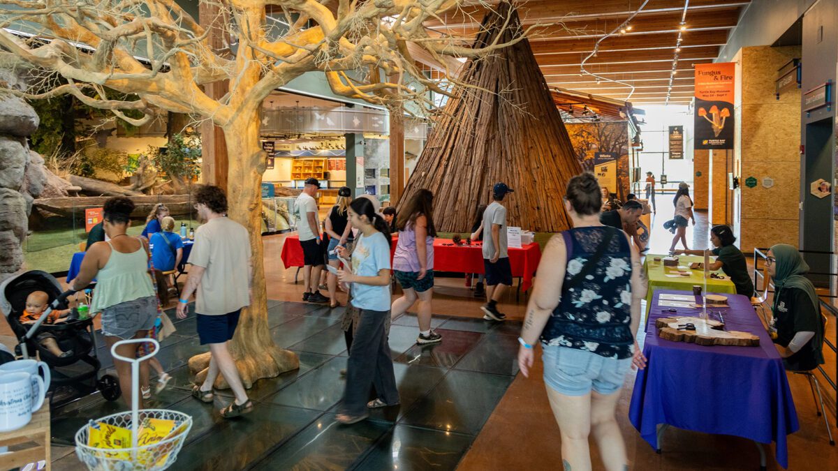 ScienceSat_AmazingHumans_1920x1080