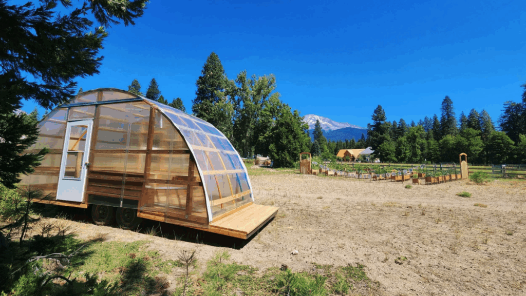 Screenshot 2025-12-01 at 7.17.40 AM