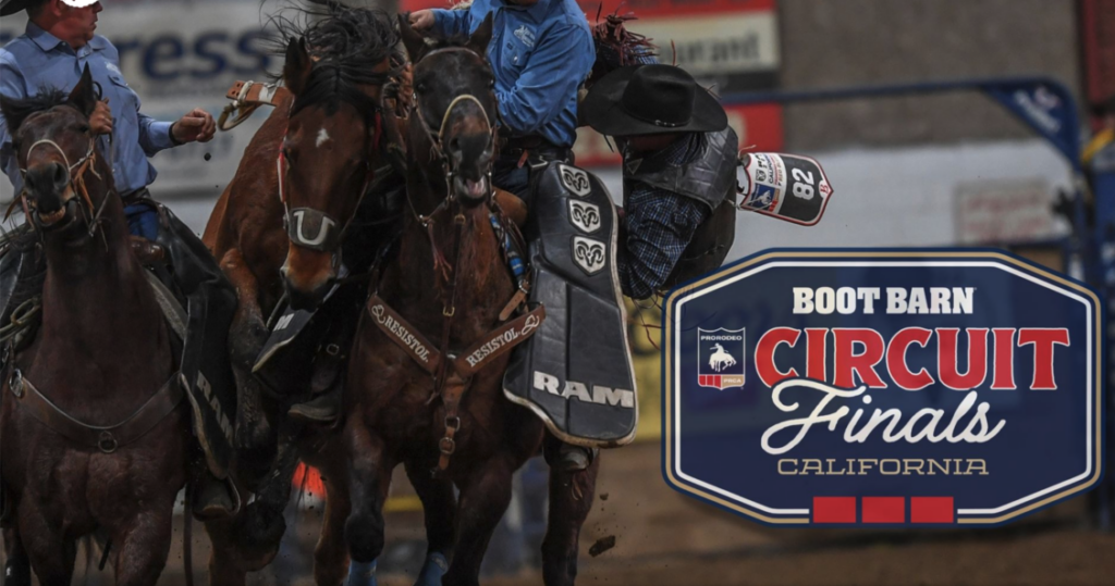 Screenshot 2025-12-17 at 9.18.04 AM