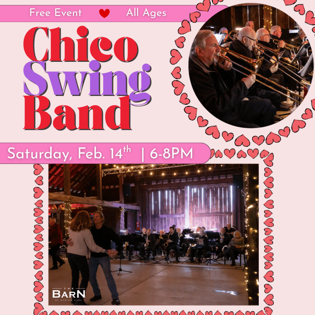 Chico Swing Band Facebook Size