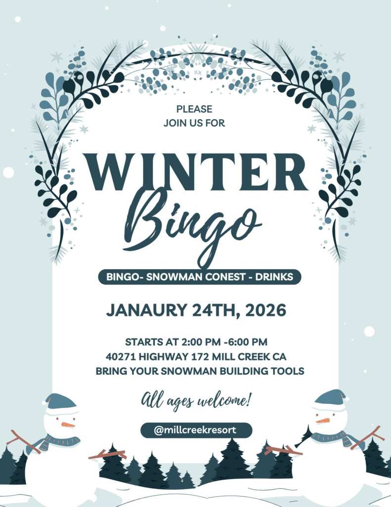 Winter bingo Flier (1)