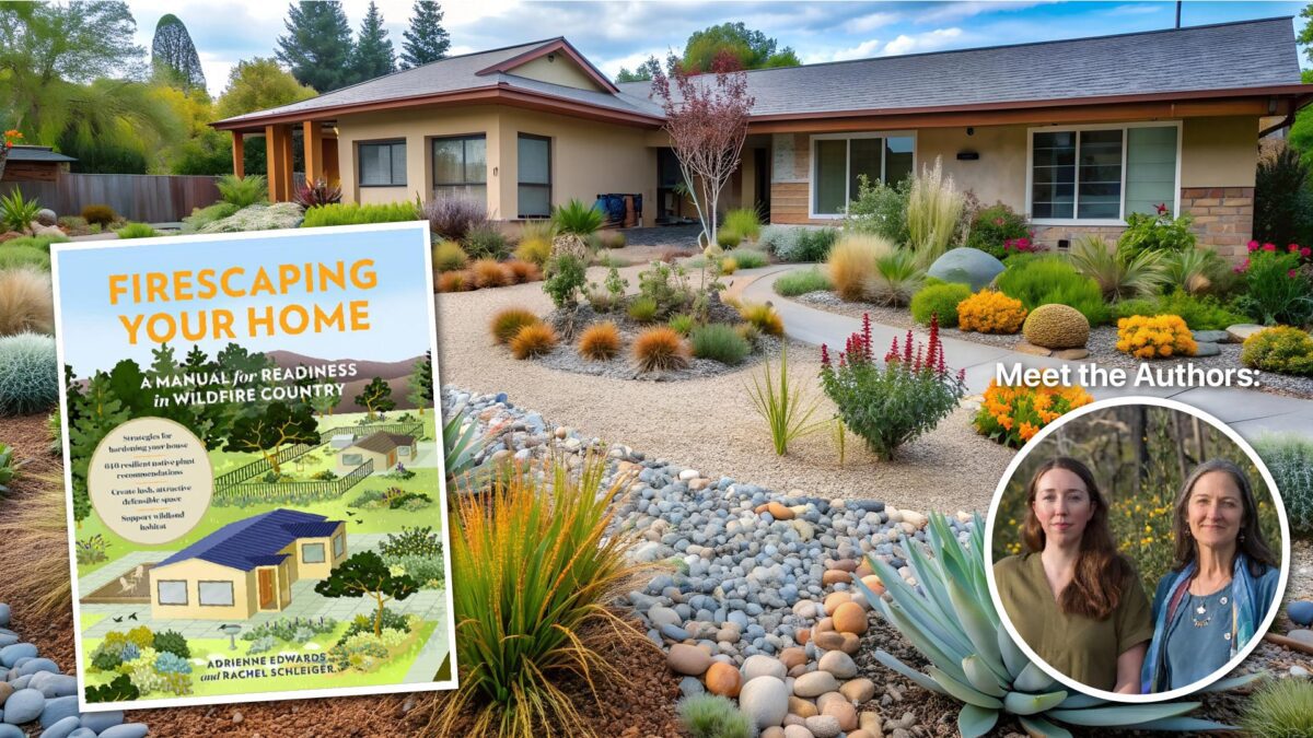 Firescaping_1920x1080