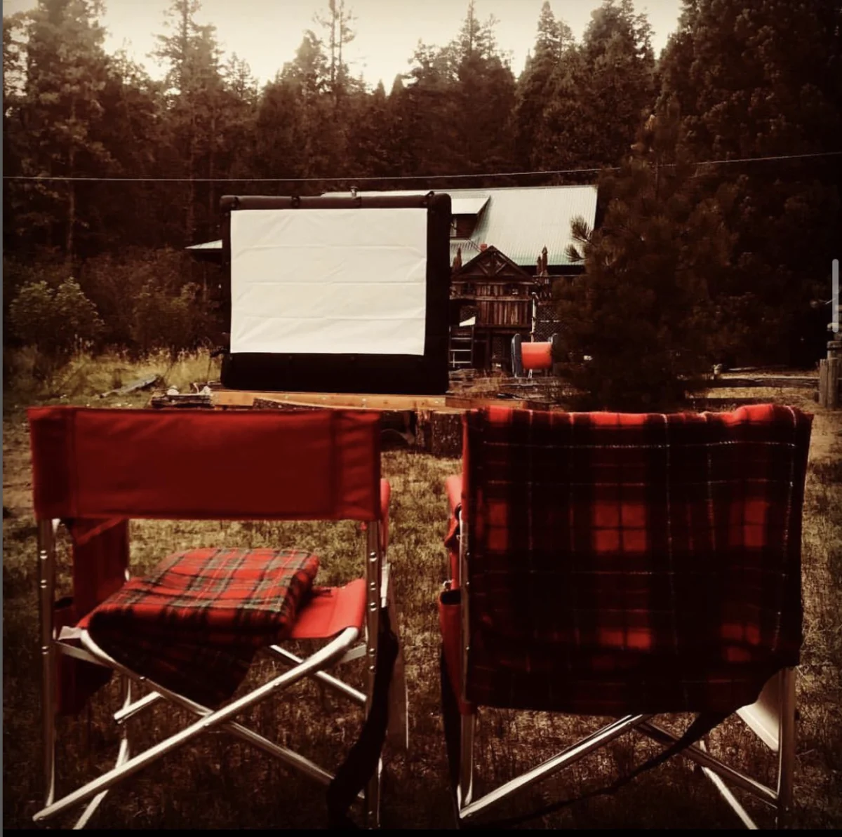 Movie in the Meadow