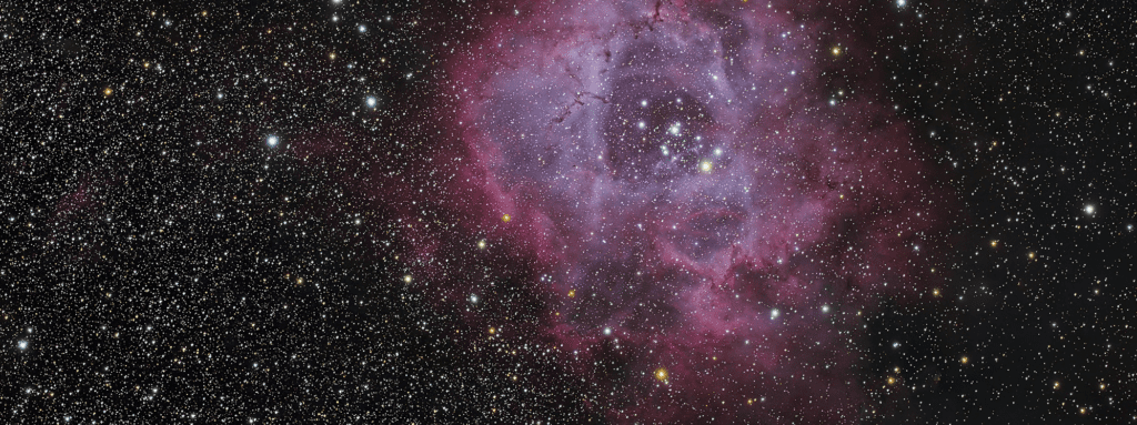 Mt Shasta Stargazers