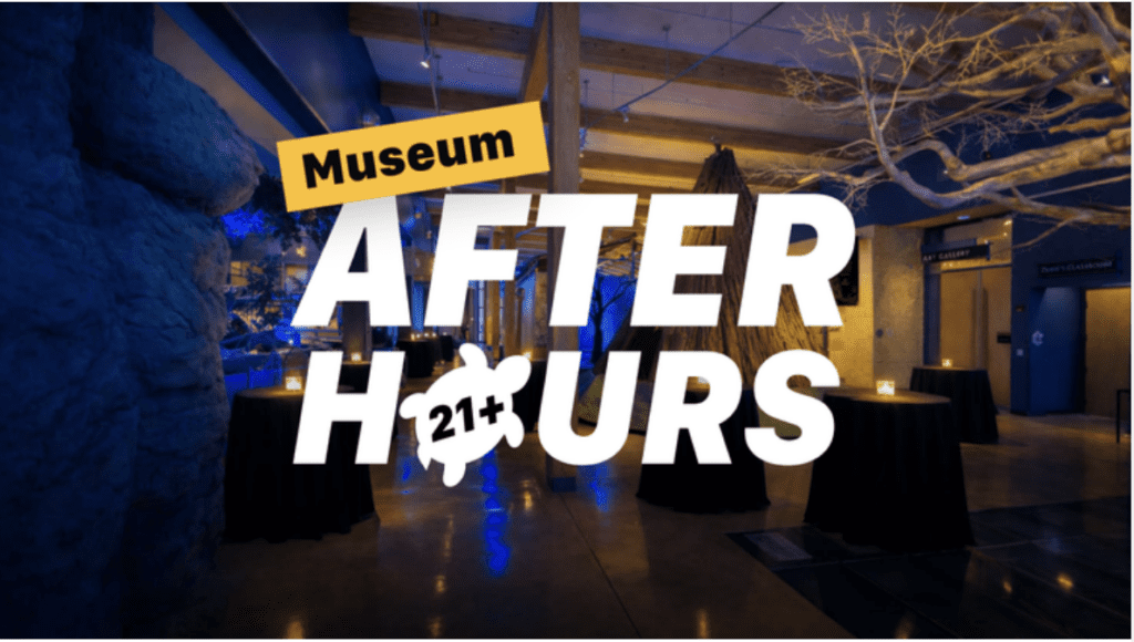 Museum After Hours