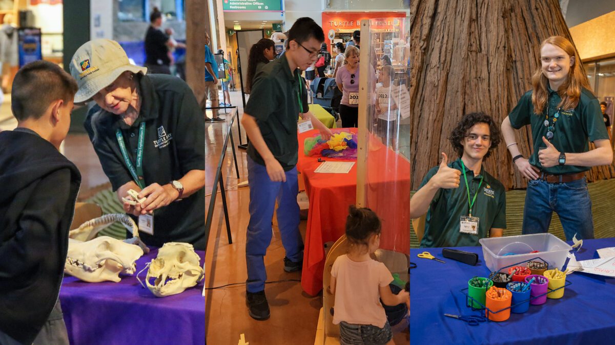 VolunteerInfoHour_2_1920x1080