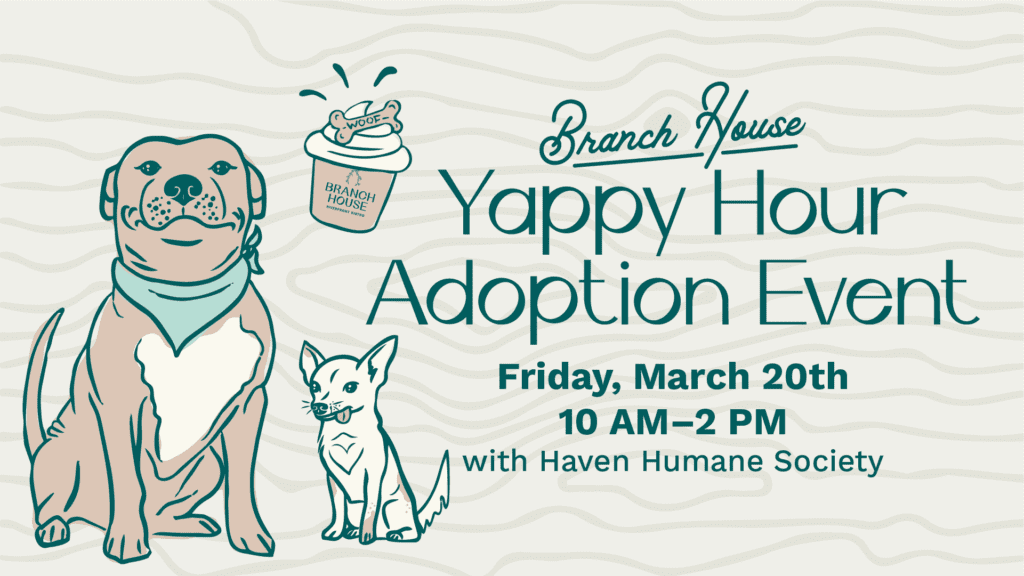 2026_3_BH_Yappy-Hour-Adoption_Digital_Web-Banner_1920x1080