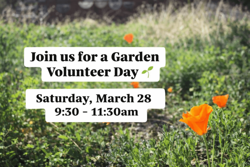 Garden Volunteer Day