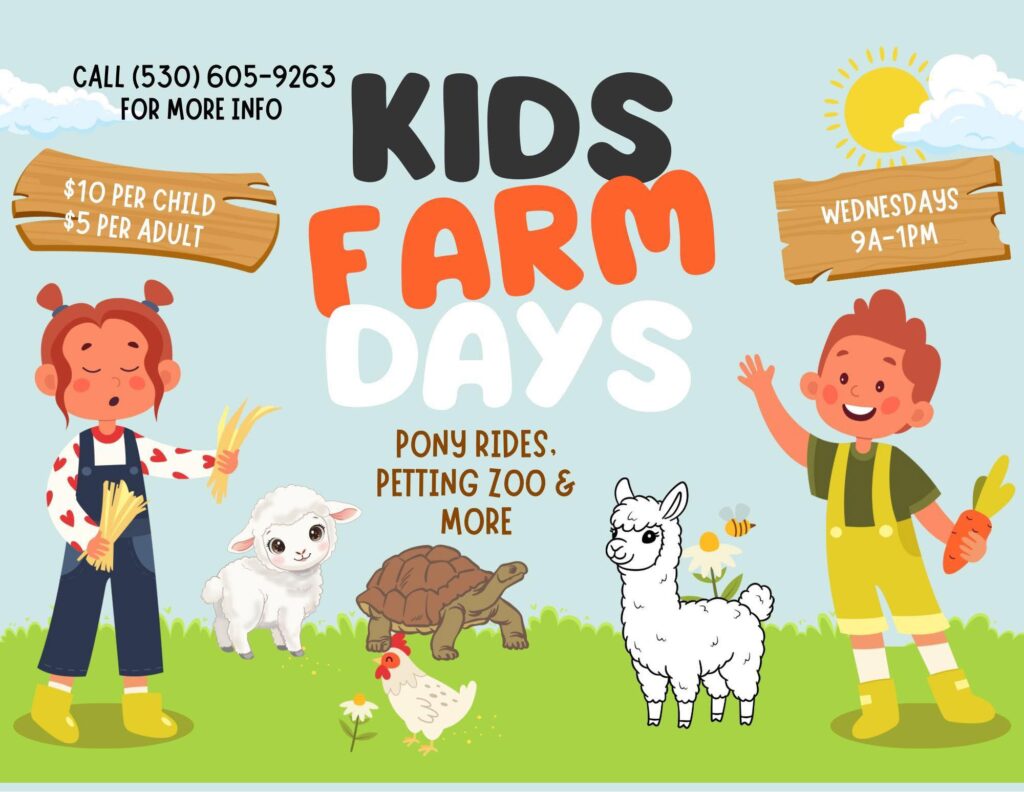 Kids Farm Days