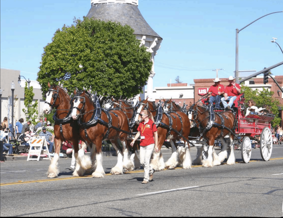 Red Bluff Round Up Parade