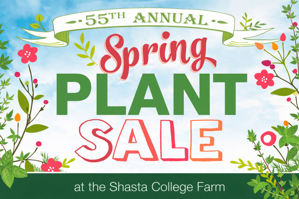 spring plant sale