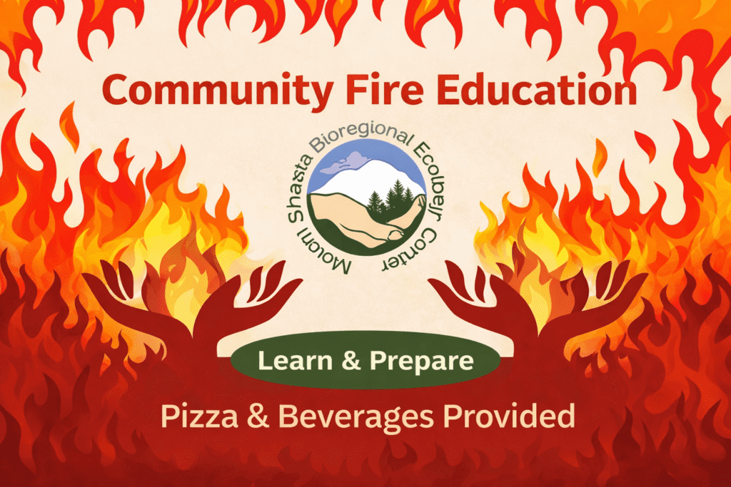 Community Fire Education