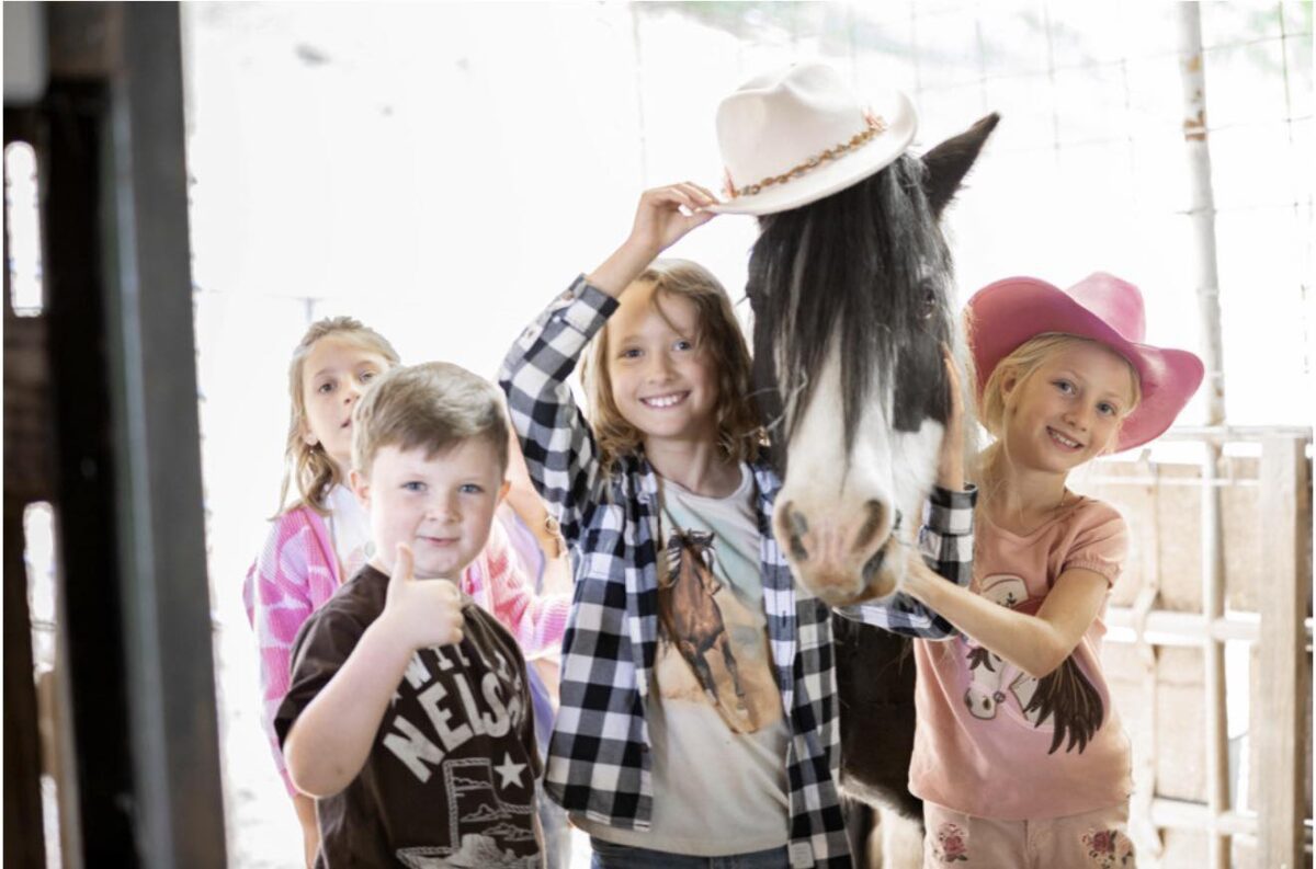 Kids Farm Days – Nor Cal Party Petting Zoo