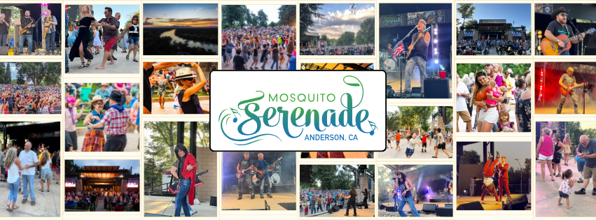 Mosquito Serenade Summer Concert Series – Anderson