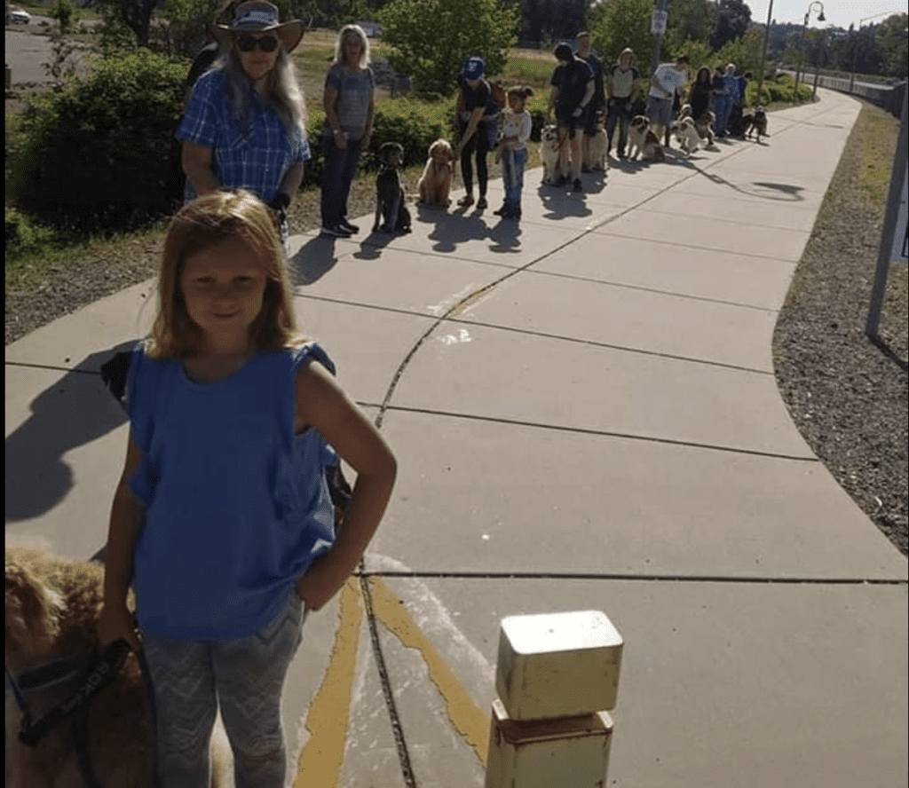 Dog walking loose leash