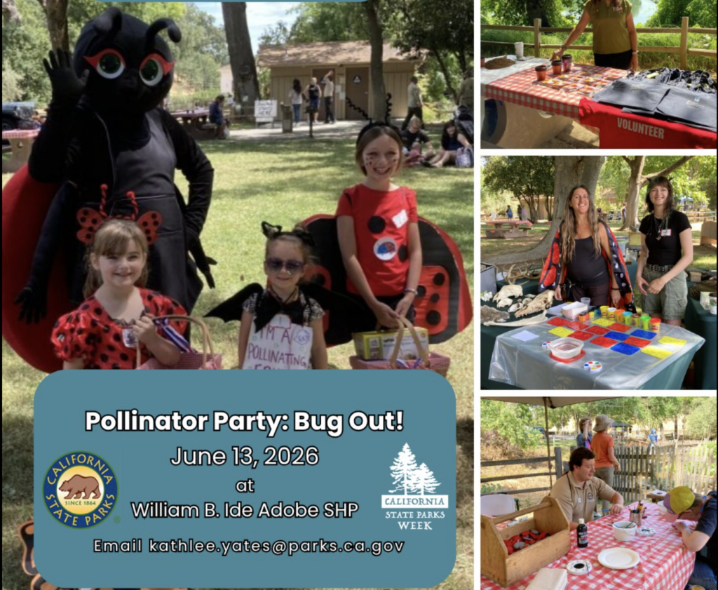 Pollinator Party Bug Out