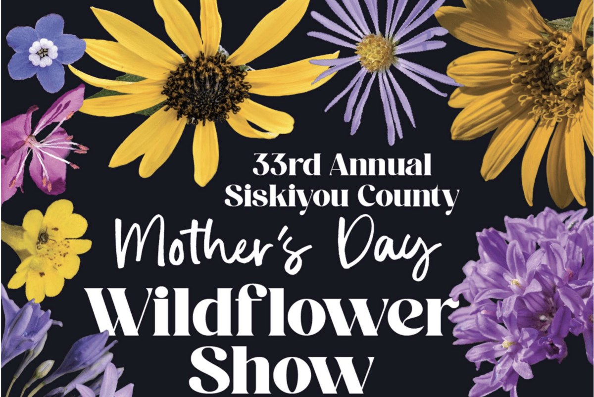 Mother’s Day Wildflower Show
