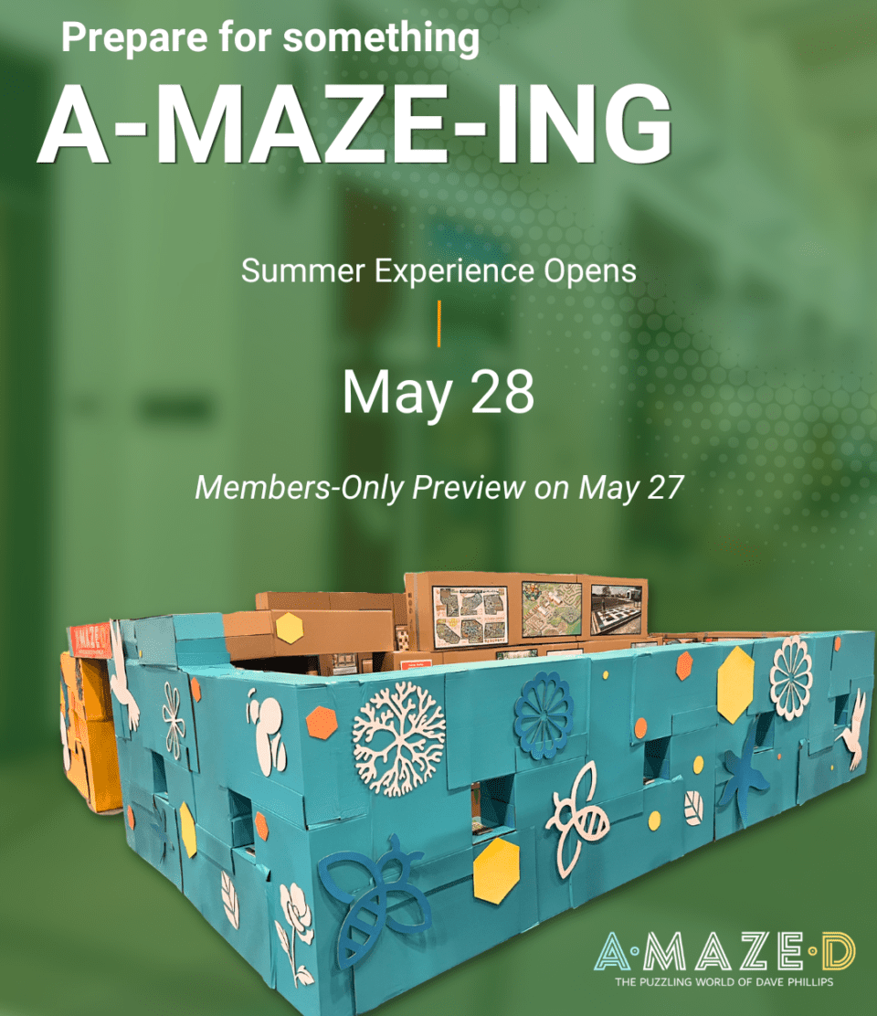 Summer Experience Opening Soon