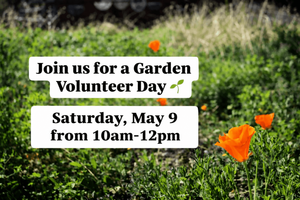 Garden Volunteer Day