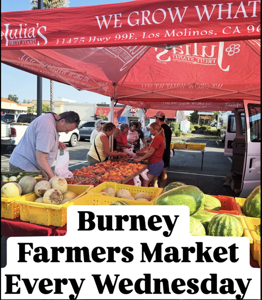 Burney Famers Market