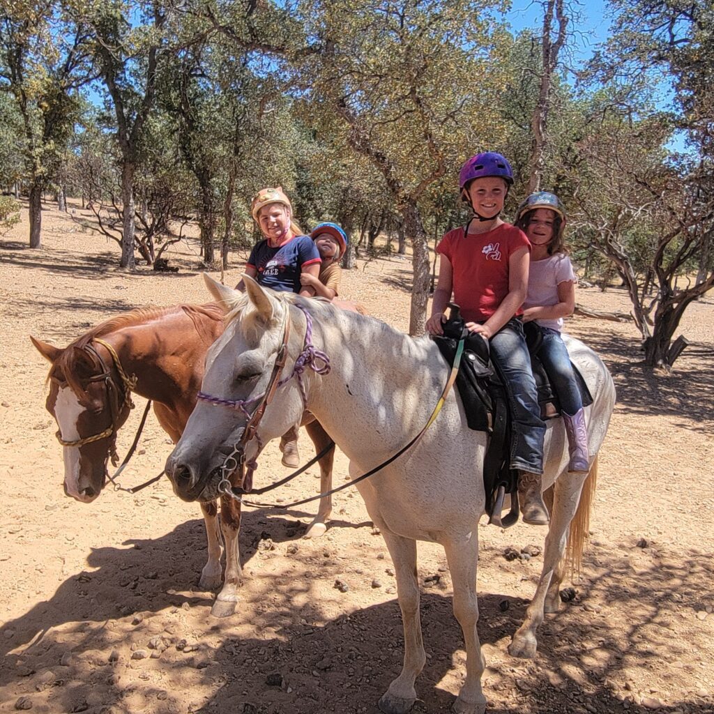 Serene Horse Camp Cottonwood