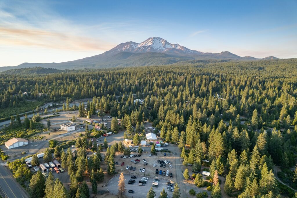 Shasta Brew Fest