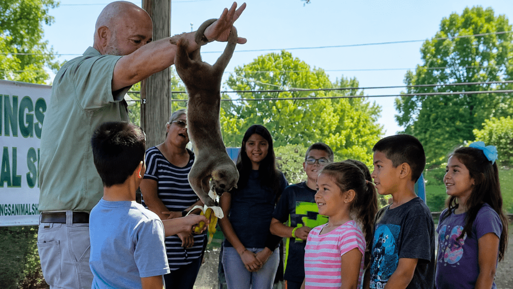Wild Things Animal Show