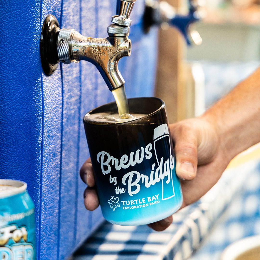 Brews by the Bridge (21+)