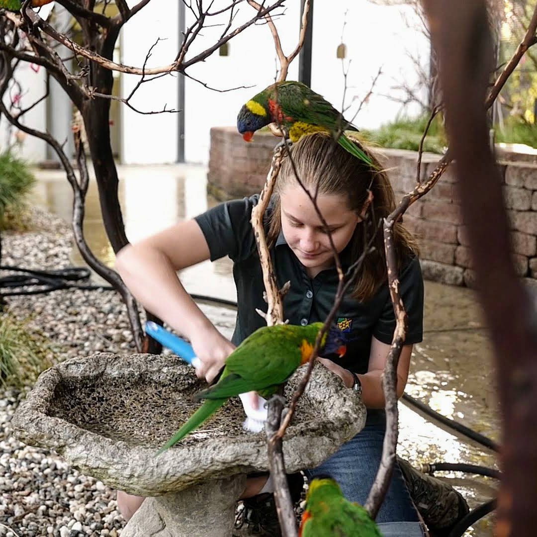 Animal Care Teen Husbandry Volunteer Info and Onboarding Session