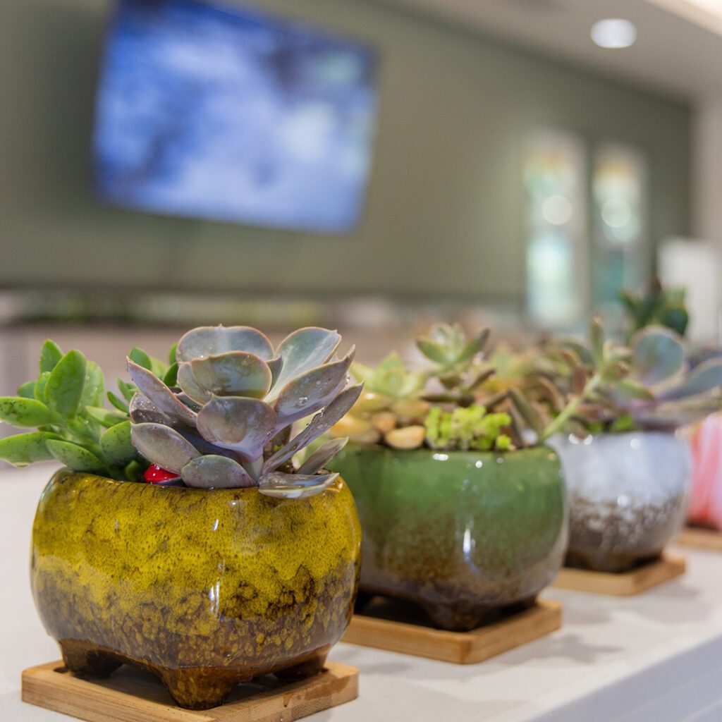 Plant-Workshop-SucculentDishs_1080x1080