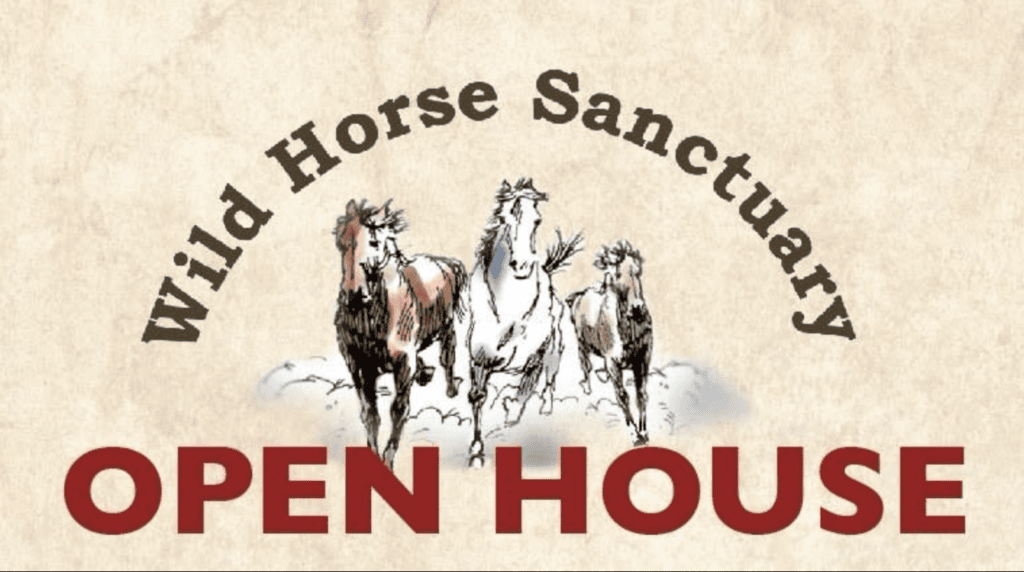 Wild Horse Sanctuary