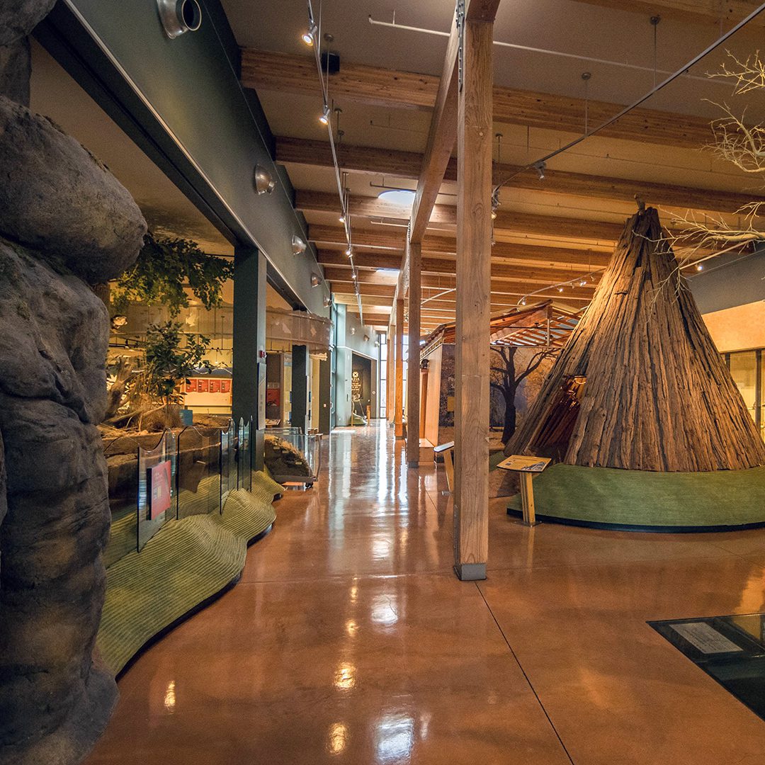 Sensory Hour at the Museum