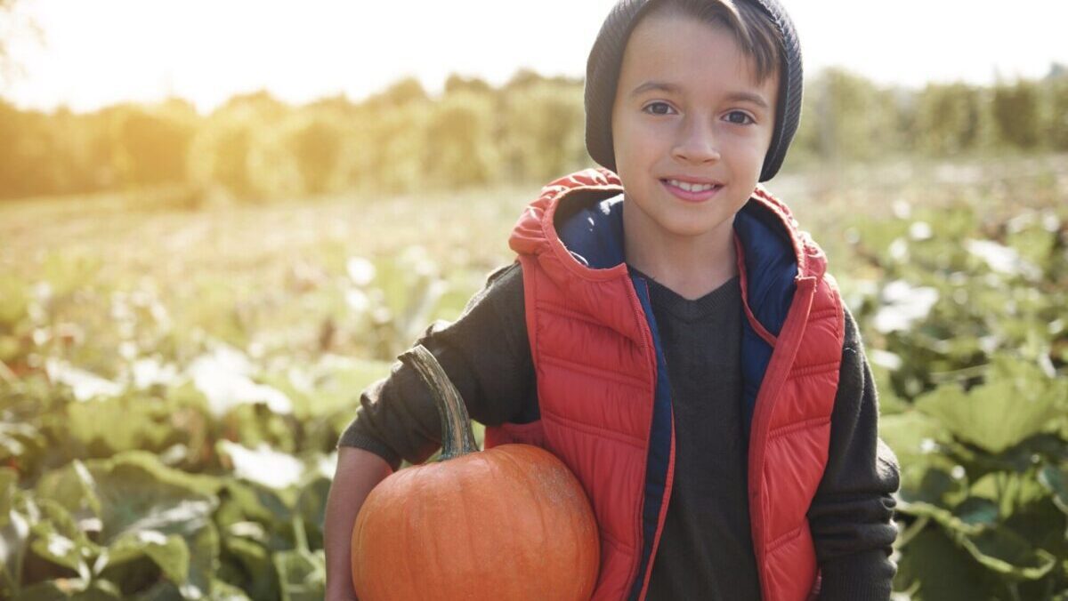 Book Family Farm