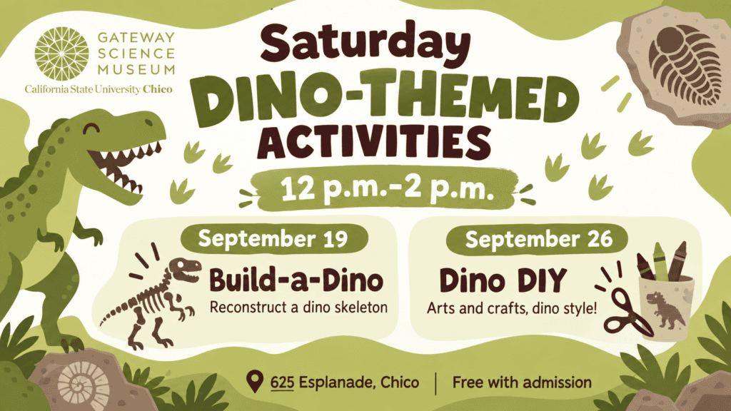 Dino Theme Activities at Gateway
