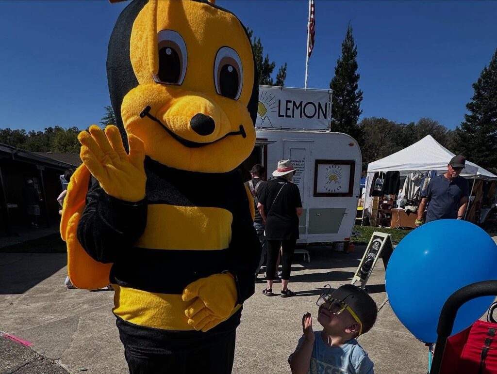 Honeybee Festival