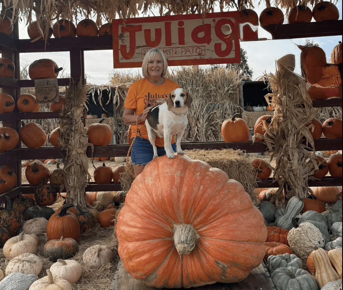 Julia's Fruit Stand Pumpkin Patch