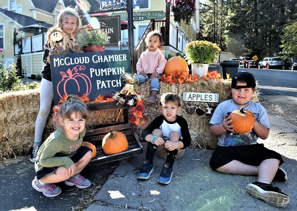 McCloud Apple Festival