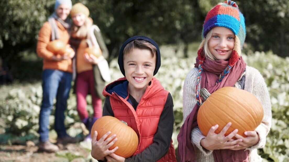 Patrick Ranch Pumpkin Patch