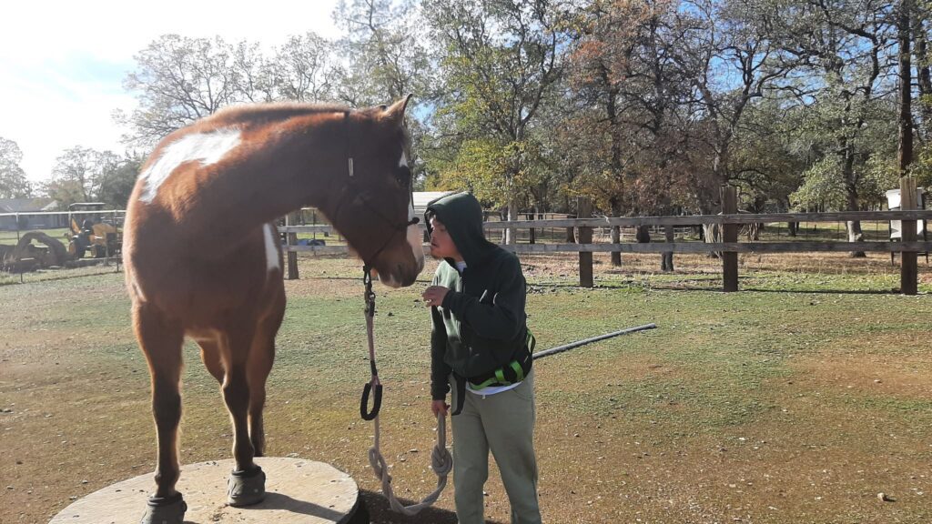 Roughout Ranch