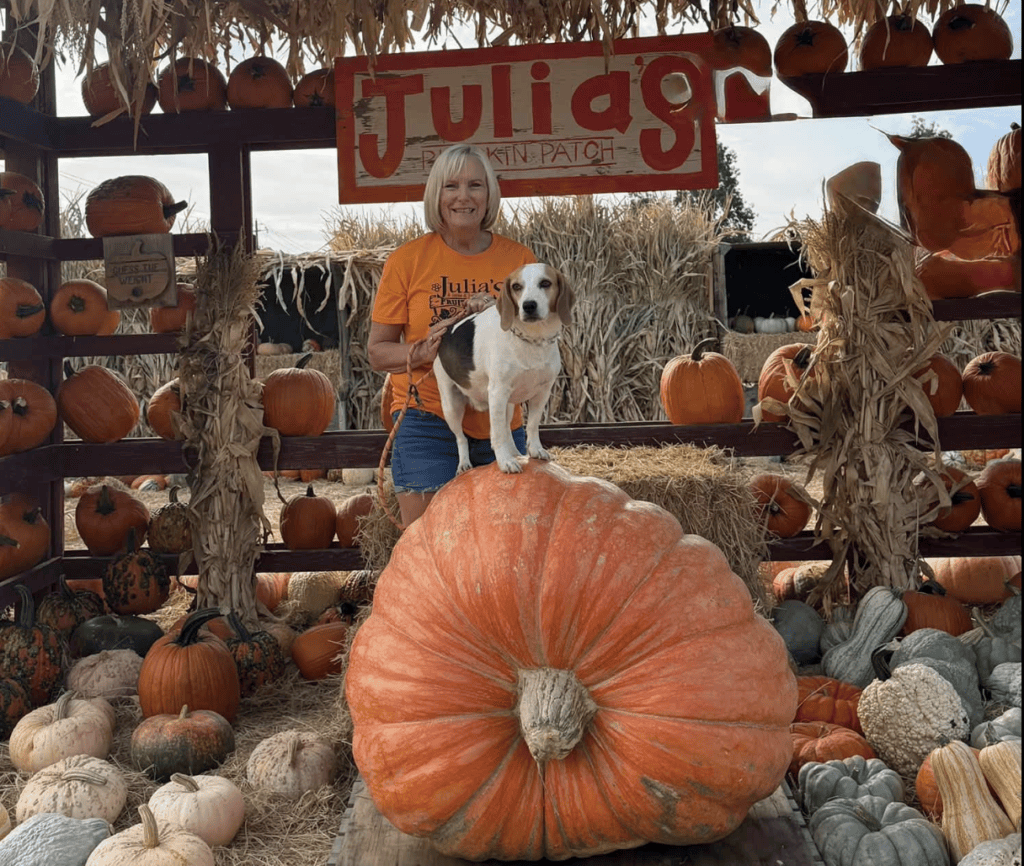 Julia's Fruit Stand Pumpkin Patch