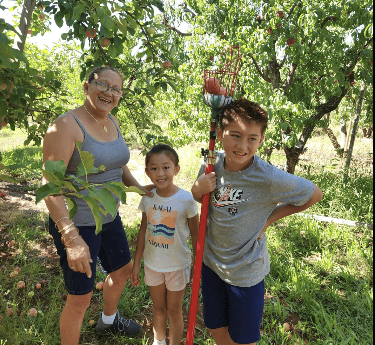 Noble Orchard Apples