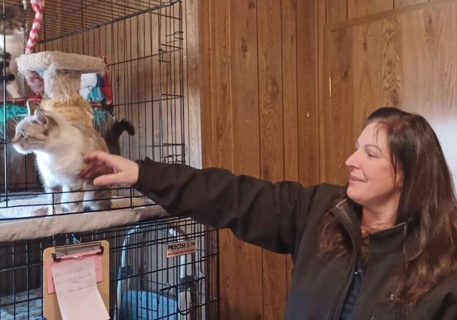 SNIP Board Member Meg Spaulding welcomes newly arrived rescued cats.