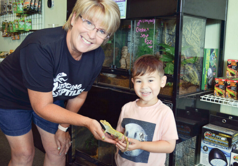 Sandra Dodge Streich, owner of Redding Reptiles, helps a young customer get acquainted with a new friend.