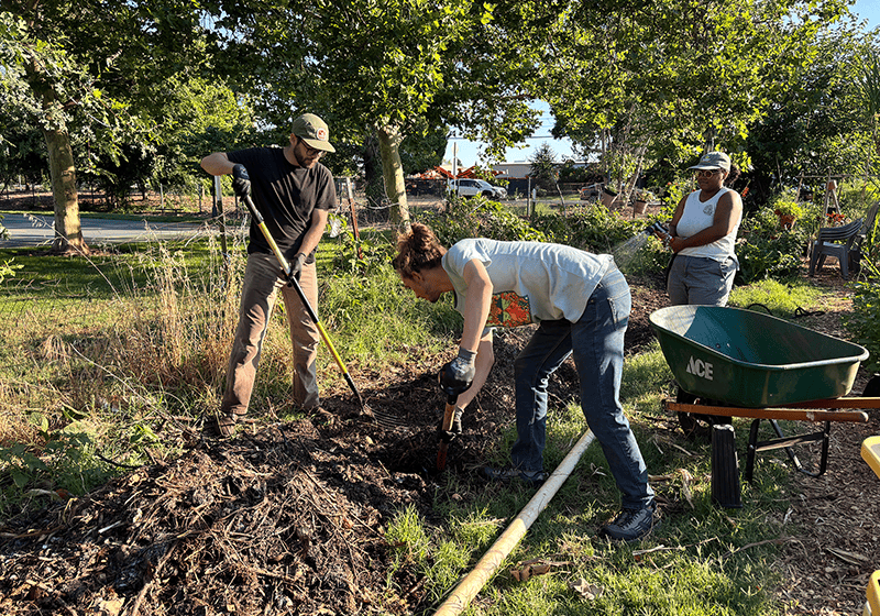 BEC’s Drop in the Bucket composting program is a model for any community that wishes to reduce landfill and encourage healthy soils. 