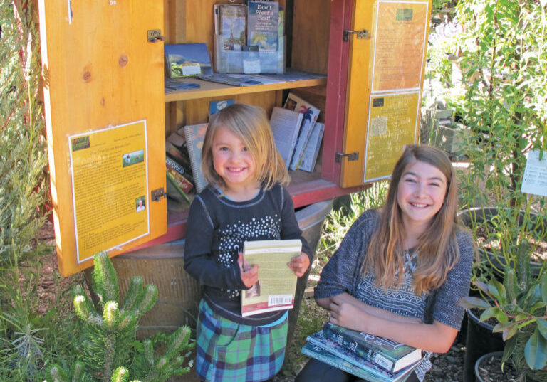 Little Free Library users - north state parent